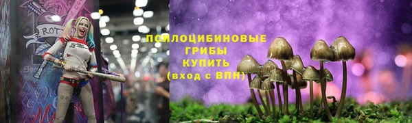 спиды Кулебаки
