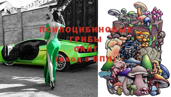 спиды Кулебаки