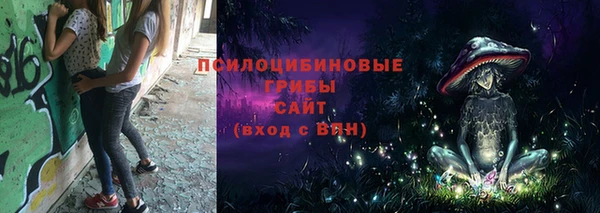 спиды Кулебаки