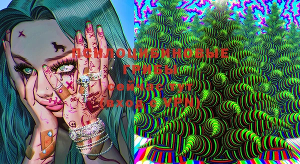 первитин Кукмор