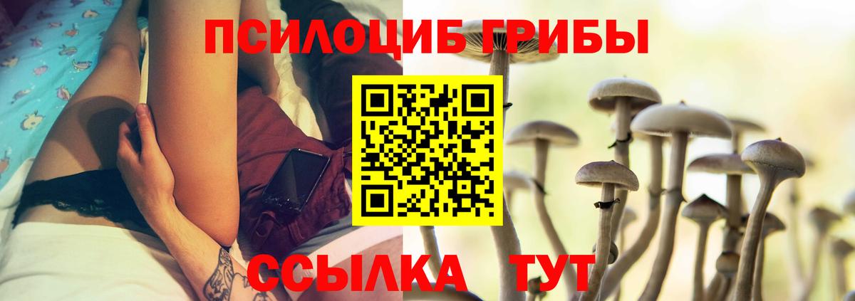 Галлюциногенные грибы мухоморы  купить  сайты  Тайшет  Вход с VPN 