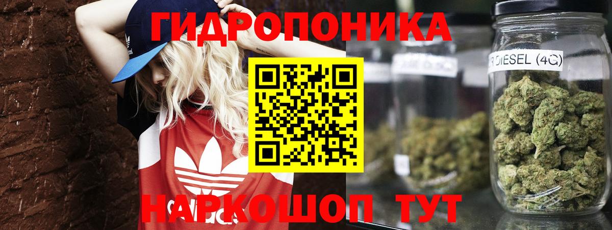 Тайшет  Шишки марихуана MAZAR  Вход с VPN  Бошки марихуана семена  Бошки Шишки гибрид 